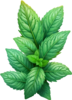 AI generated mint leaves on transparent background ai generative png