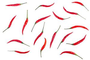 Thai red pepper isolated on white background with clipping path. photo