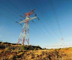 electricity pylons in the desert photo