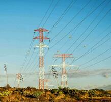 electricity pylons in the desert photo