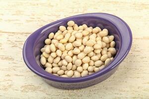 White beans over wooden background photo