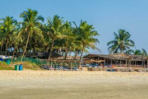 coconut trees on ocean coast near tropical shack or open cafe on beach with sunbeds photo