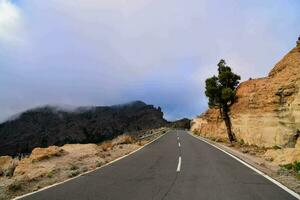 a road in the mountains with a tree on the side photo