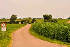 a dirt road next to a field photo