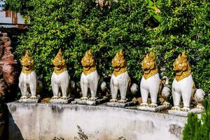 a row of statues of lions in front of a wall photo