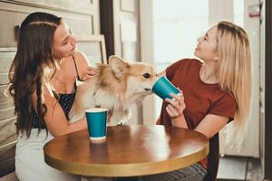 Two pretty girls drinking coffee with a corgi dog photo
