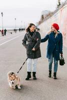 Two young women walking a corgi dog together outdoors photo