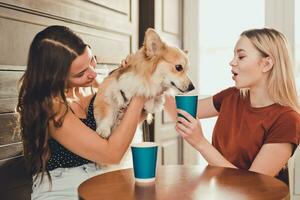 dos hermosa muchachas gastar hora en un café con un perro corgi raza foto