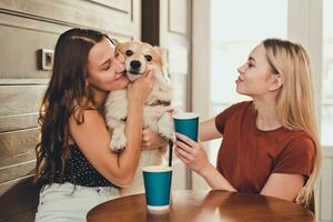 Two beautiful girls spend time in a cafe with a dog corgi breed photo