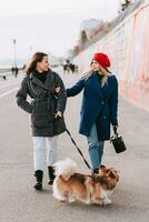 Two girls friend walking on the street a dog corgi breed photo