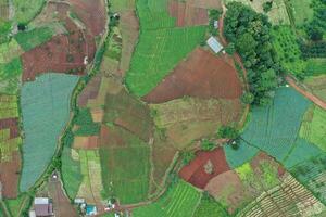 A top view of Chiangmai land showing the organic shape of a boundary and its colorful agriculture. photo