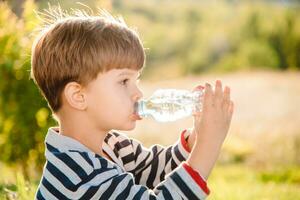 un hermosa niño sentado en el césped bebidas agua desde un botella en el verano a puesta de sol. chico apaga su sed en un caliente día foto