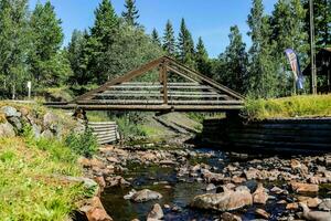 un de madera puente terminado un corriente en el medio de un bosque foto
