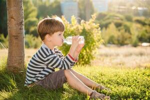 linda chico sentado en el césped bebidas agua desde un botella en el verano a puesta de sol. niño apaga sed en un caliente día foto