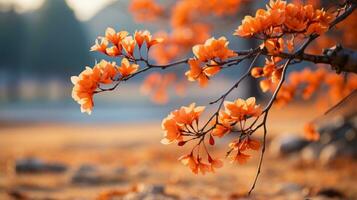 AI Generative. Beautiful orange autumn maple tree close up in natural park with soft focus in sunlight. photo