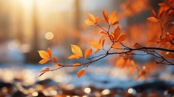 AI Generative. Beautiful orange autumn maple tree close up in natural park with soft focus in sunlight. photo