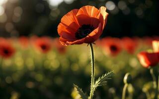 estilizado rojo amapola en negro remembranza día símbolo ai generado foto