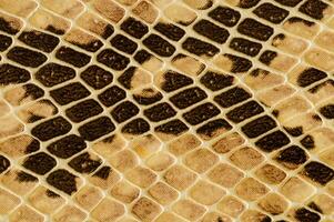 a snake skin texture with brown and black spots photo