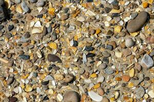 a close up of a beach with many different types of rocks photo