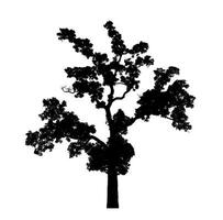 Tree silhouette for brush on white background photo