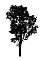 Tree silhouette for brush on white background photo