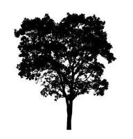 Tree silhouette for brush on white background photo