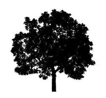 Tree silhouette for brush on white background photo