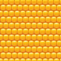 corn background 01 try vector