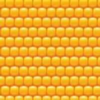 corn background 01 try vector