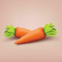 two carrots on red vector