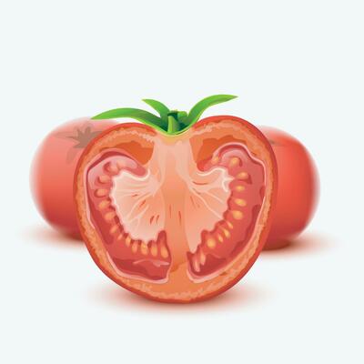 tomato realistic on white