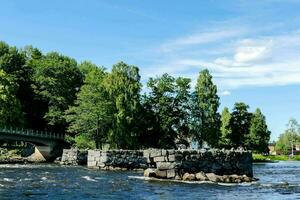 a tree line along the water photo