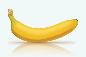 picture of banana vector