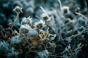 AI generated Frozen icy dry wild flowers. Generate ai photo