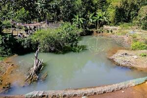 a small pond with trees photo