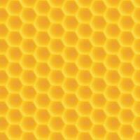 honeycomb pattern back vector