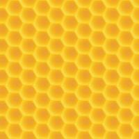 honeycomb pattern back vector