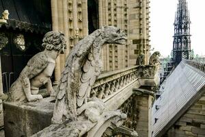 gargoyles on the roof of a cathedral photo