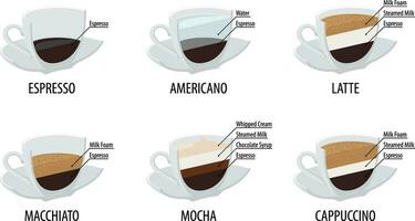 Coffee cup vector. Cafe menu with infographic. Flat design. vector