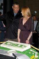 Lawrence Fishburne  Marg Helgenberger at the 200th Episode Celebration of CSI LasVegas at the CSI set on Universal Backlot in Los Angeles CA on February 10 2009 photo