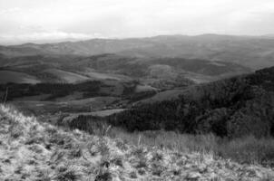 Mountains and forests photo