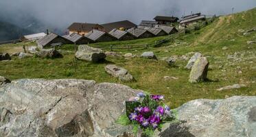 saint martin,alpage de l'a vieille,valais,swiss photo