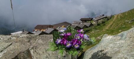 Santo martin alpage Delaware la Vieille, Valais, Suiza foto