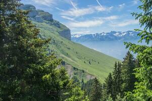 pass of pravouta,saint pierre de chartreuse,isere,france photo