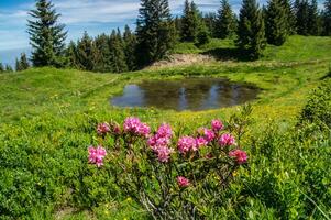 montañoso de Belledone,Isère,Francia foto