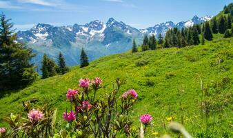 mountainous of belledone, isere,france photo