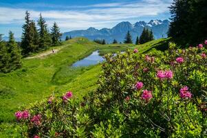 mountainous of belledone,isere,france photo