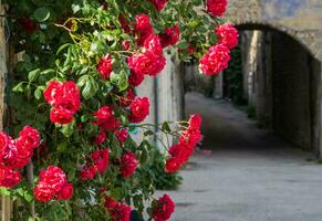 pontaix, in drome,france photo