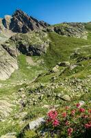 Cheserys,macizo de mont blanco,chamonix,alta Saboya, Francia foto