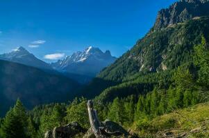 vallorcine ,haute savoie,france photo